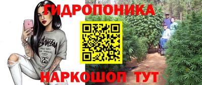 крисы Чапаевск