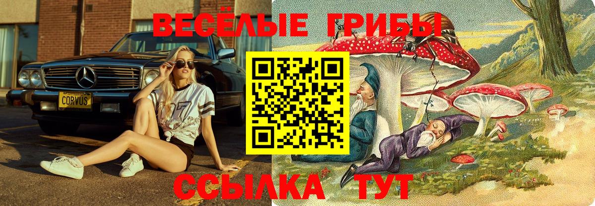 Галлюциногенные грибы прущие грибы  Вход с VPN  Славянск-на-Кубани 